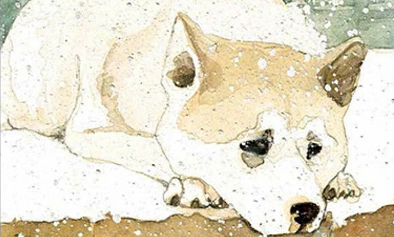 Tải app JUN88 và cảm nhận câu chuyện xúc động về lòng trung thành trong ‘Hachiko, chú chó đợi chờ’ - hình ảnh - vipjun88.com