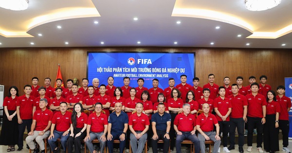 FIFA chỉ ra hướng phát triển bóng đá phong trào Việt Nam - hình ảnh - vipjun88.com FIFA chỉ ra hướng phát triển bóng đá phong trào Việt Nam - hình ảnh - vipjun88.com